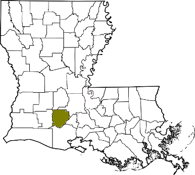 louisiana fire, louisiana firefighters, la firefighters, la fire, louisiana fire department, arcadia parish, arcadia parish ems, arcadia parish fire apparatus, arcadia parish fire departments