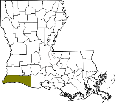 louisiana fire, louisiana firefighters, la firefighters, la fire, louisiana fire department, cameron parish, cameron parish ems, cameron parish fire apparatus, cameron parish fire departments