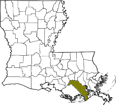 louisiana fire, louisiana firefighters, la firefighters, la fire, louisiana fire department, lafourche parish, lafourche ems, lafourche parish fire apparatus, lafourche parish fire departments