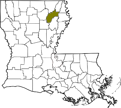 louisiana fire, louisiana firefighters, la firefighters, la fire, louisiana fire department, richland parish, richland ems, richland fire apparatus, richland parish fire departments