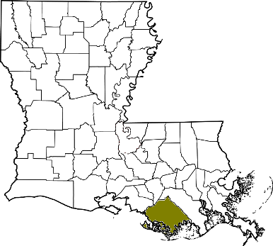 louisiana fire, louisiana firefighters, la firefighters, la fire, louisiana fire department, terrebonne parish, terrebonne ems, terrebonne fire apparatus, terrebonne parish fire departments